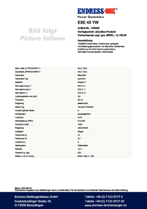 Дизельні генератори Endress ESE 45 YW 