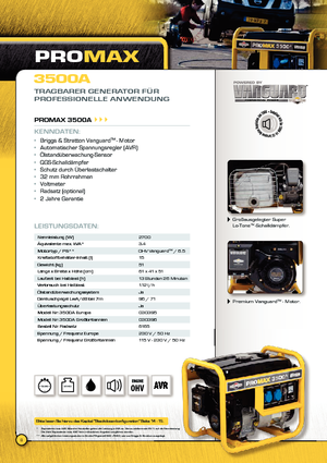 Дизельні генератори Vanguard Promax 3500 A