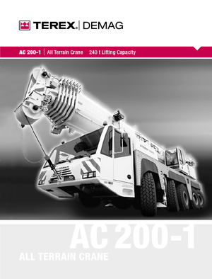 всюдихідні крани Terex-Demag AC 200-1 (10x8x8)