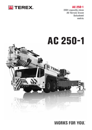 всюдихідні крани Terex-Demag AC 250-1 (12x8x10)