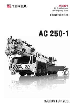 всюдихідні крани Terex-Demag AC 250-1 (12x8x10)