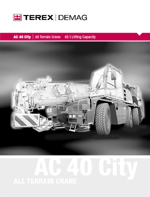 всюдихідні крани Terex-Demag AC 40 City (6x4x6)