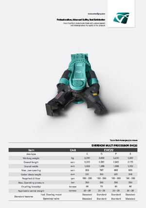 Мультипроцесори Everdigm EHC22