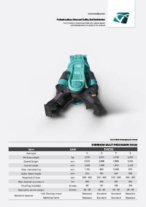 Мультипроцесори Everdigm EHC32