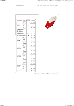 Мультипроцесори Globram RM330