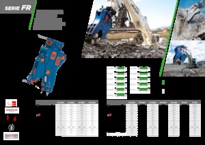 Бетонні подрібнювачі TREVI BENNE FR 50RD
