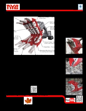 Бетонні подрібнювачі Nye TRX250