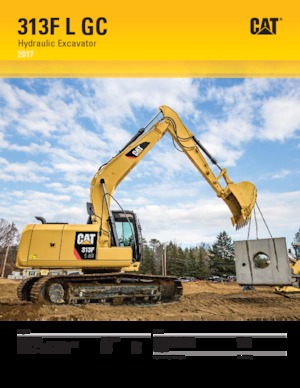 Гусеничні екскаватори Caterpillar 313F L GC