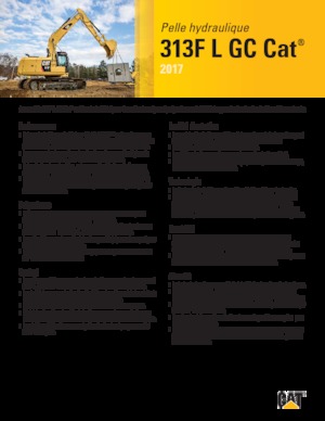 Гусеничні екскаватори Caterpillar 313F L GC