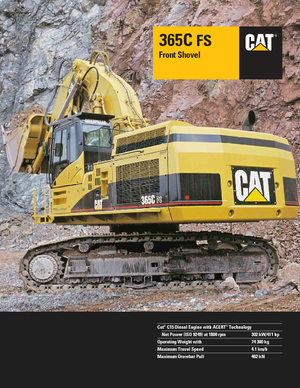 Гусеничні екскаватори Caterpillar 365 C