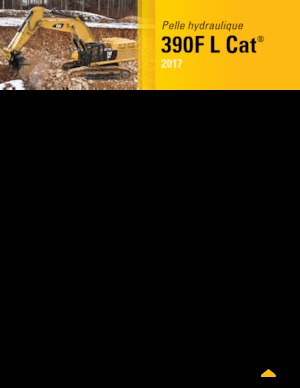 Гусеничні екскаватори Caterpillar 390F L