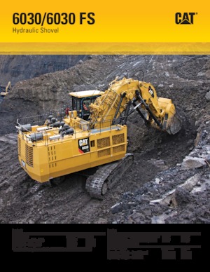 Гусеничні екскаватори Caterpillar 6030 FS