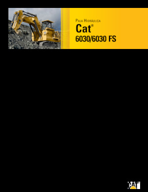 Гусеничні екскаватори Caterpillar 6030 FS