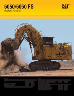 Гусеничні екскаватори Caterpillar 6050 FS