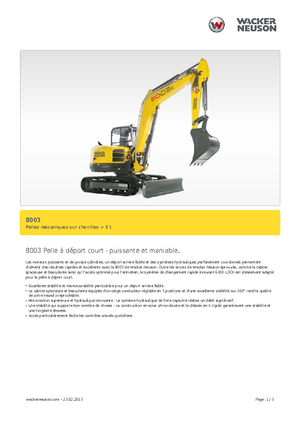 Гусеничні екскаватори Neuson 8003