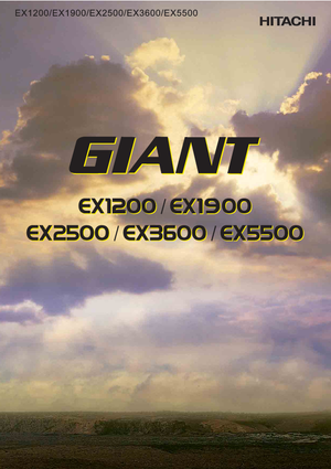 Гусеничні екскаватори Hitachi EX 1200-6