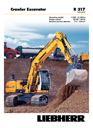 Гусеничні екскаватори Liebherr R 317 Litronic