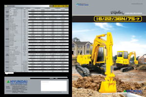 Міні-екскаватори Hyundai R 36N-7