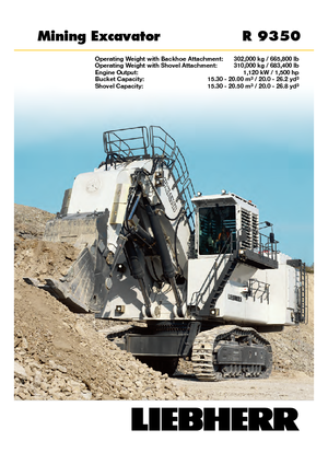 Гусеничні екскаватори Liebherr R 9350 