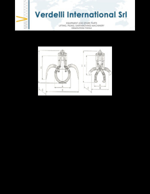 грейфери для знесення та сортування Verdelli F.E.E. /25