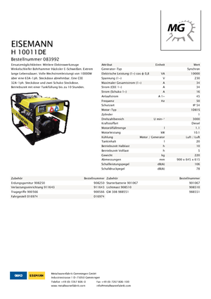 Дизельні генератори Eisemann H 10010 DE