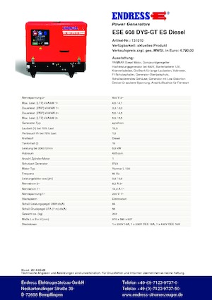 Бензинові електрогенератори Endress ESE 608 DYS-GT ES DI
