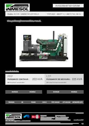 Дизельні генератори INMESOL AV-225