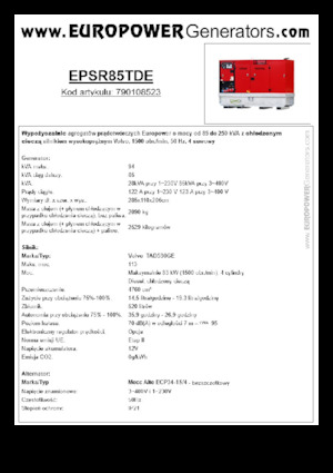 Дизельні генератори Europower EPSR85TDE (MA)