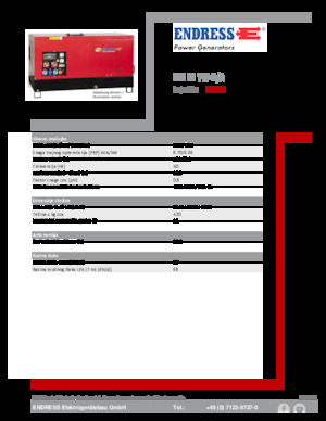 Дизельні генератори Endress ESE 10 YW-B/A 