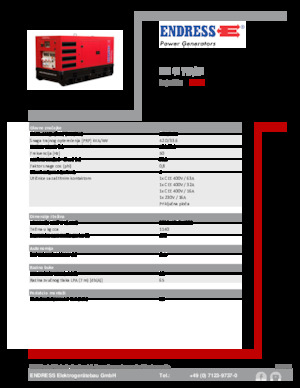 Дизельні генератори Endress ESE 45 YW/RS