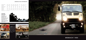 Муніципальний багатофункціональний транспортний засіб Дизель Bremach Trex 35.3/4