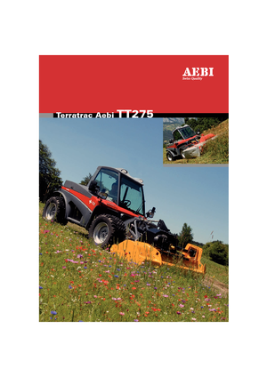 Муніципальний багатофункціональний транспортний засіб Дизель Aebi TT 275