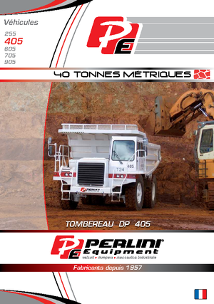 Самоскиди із жорсткою рамою Perlini DP 405 WD