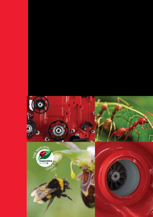 Двигуни Cummins ISB4.5