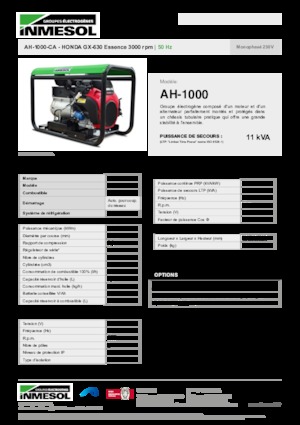 Бензинові електрогенератори INMESOL AH-1000-CA