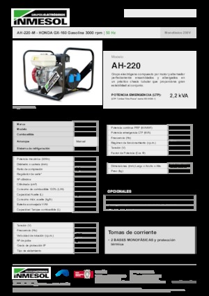Бензинові електрогенератори INMESOL AH-220-M