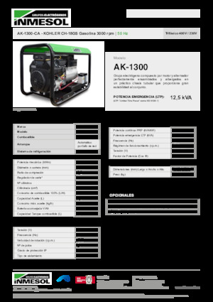 Бензинові електрогенератори INMESOL AK-1300-CA