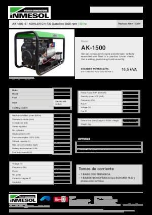Бензинові електрогенератори INMESOL AK-1500-E