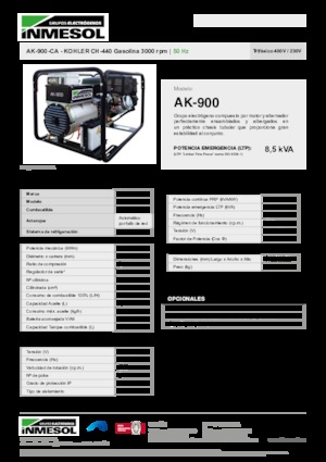 Бензинові електрогенератори INMESOL AK-900-CA
