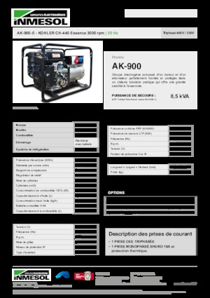 Бензинові електрогенератори INMESOL AK-900-E