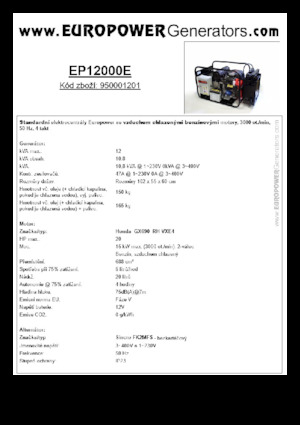 Бензинові електрогенератори Europower EP12000E (S)