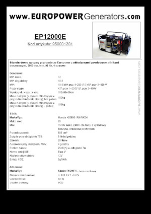 Бензинові електрогенератори Europower EP12000E (S)