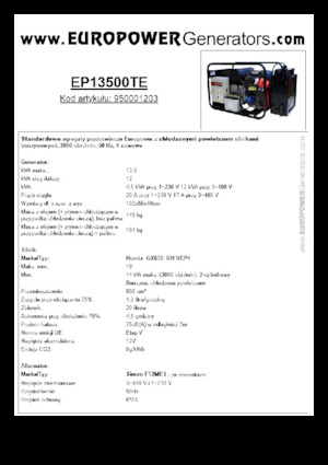 Бензинові електрогенератори Europower EP13500TE (S)