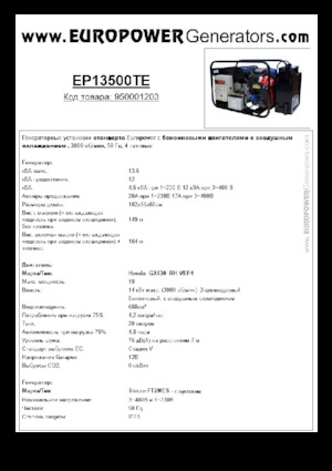 Бензинові електрогенератори Europower EP13500TE (S)