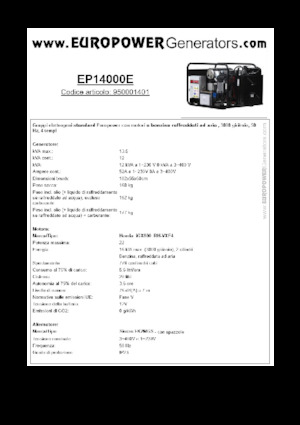 Бензинові електрогенератори Europower EP14000E (S)