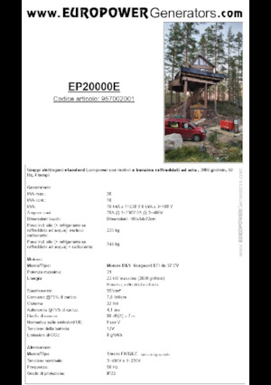 Бензинові електрогенератори Europower EP20000E (S)