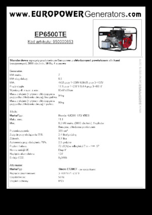 Бензинові електрогенератори Europower EP6500TE (S)