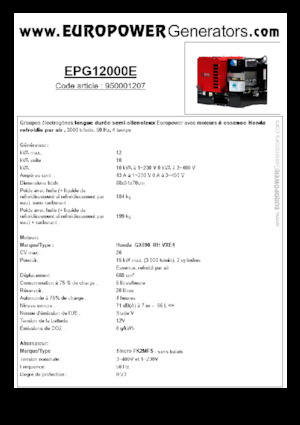 Бензинові електрогенератори Europower EPG12000E (S)