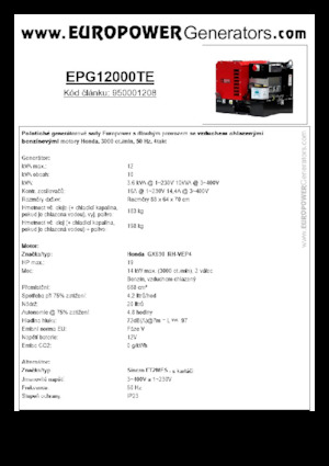 Бензинові електрогенератори Europower EPG12000TE (S)