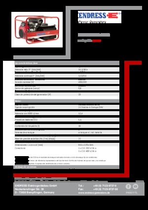 Бензинові електрогенератори Endress ESE 1306 DHS-GT ES 